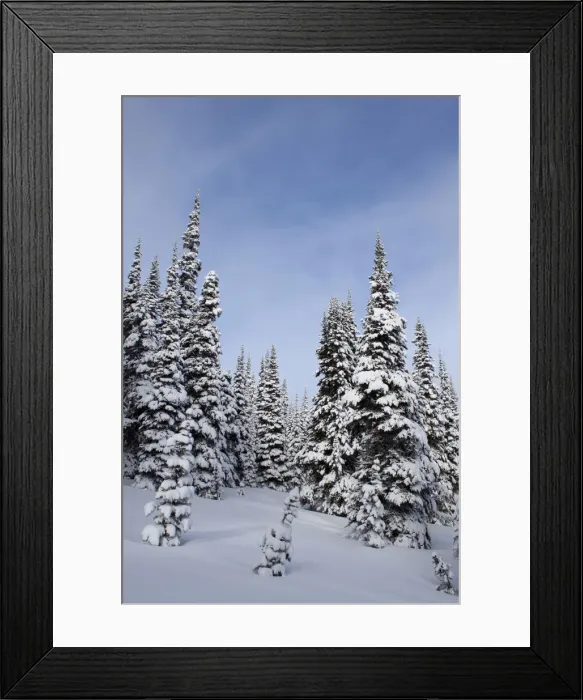 Framed Print : DDE-90039619