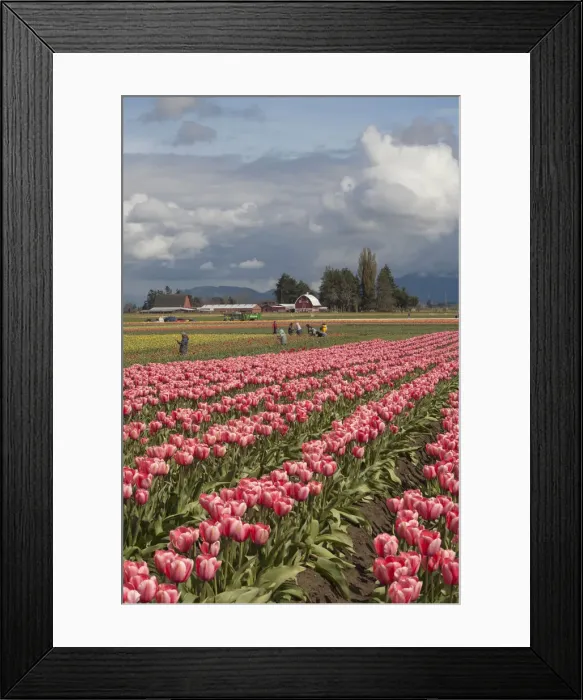 Framed Print : DDE-90039631 Framed Print : DDE-90039631