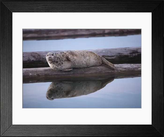 Framed Print : DDE-90039632 Framed Print : DDE-90039632