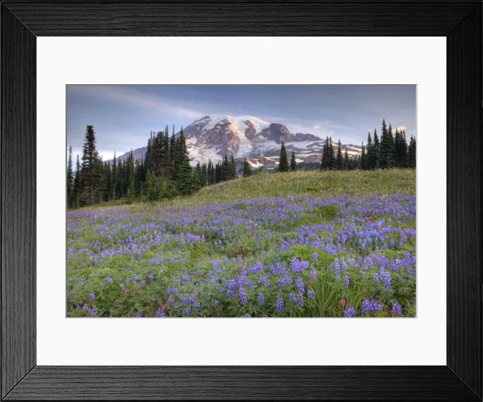 Framed Print : DDE-90039635 Framed Print : DDE-90039635