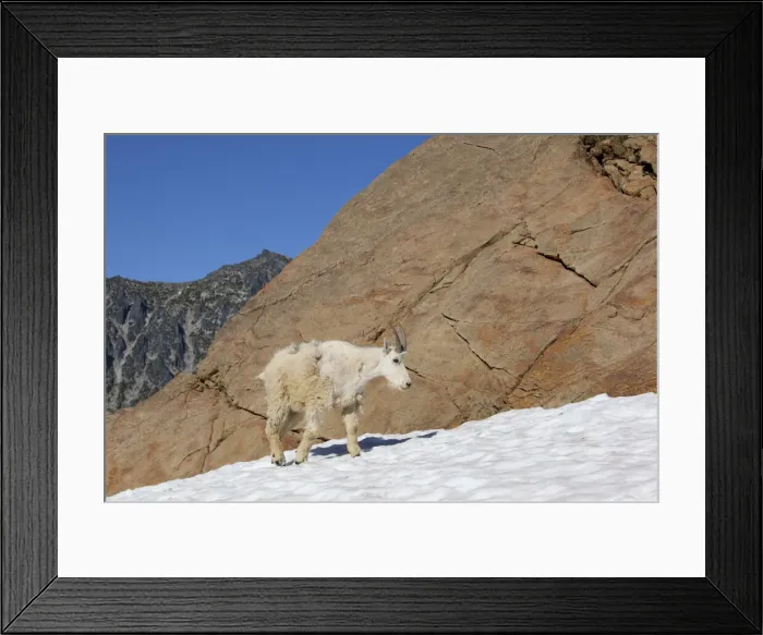 Framed Print : DDE-90039640