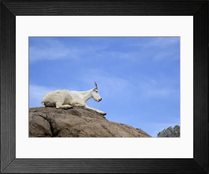 Framed Print : DDE-90039642 Framed Print : DDE-90039642