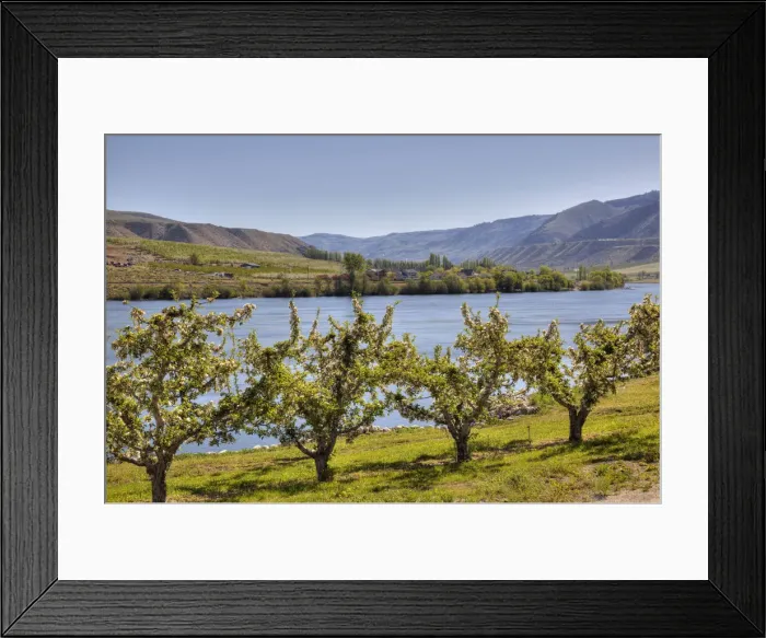 Framed Print : DDE-90039636 Framed Print : DDE-90039636