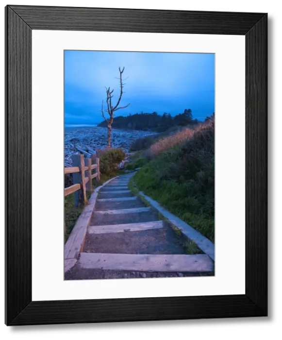 Framed Print : DDE-90039650