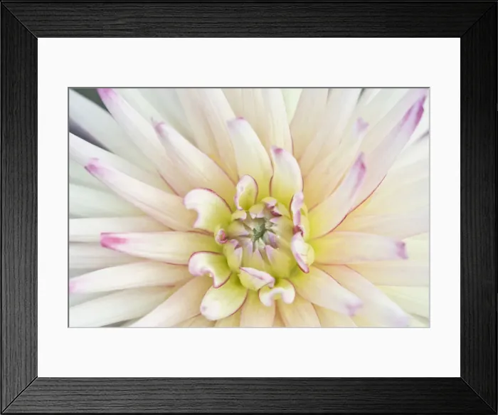Framed Print : DDE-90039661 Framed Print : DDE-90039661