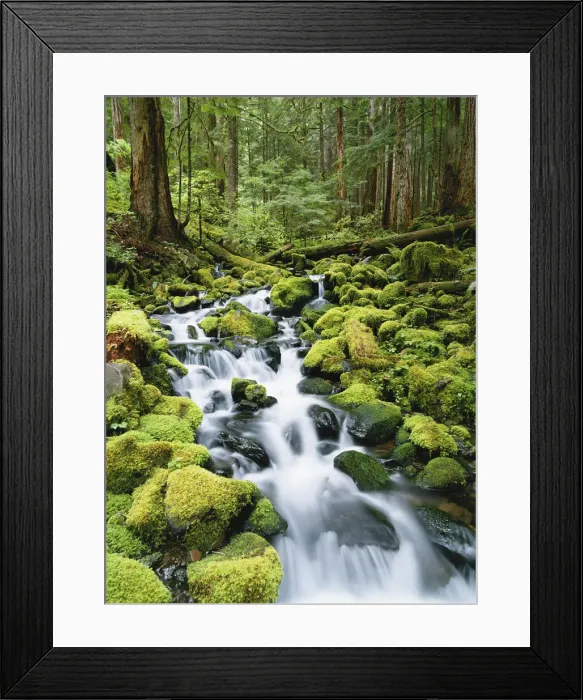 Framed Print : DDE-90039664 Framed Print : DDE-90039664