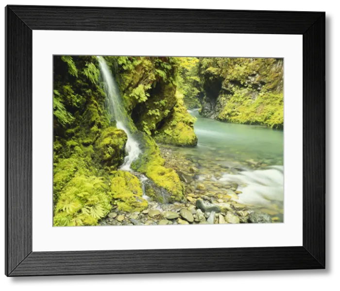 Framed Print : DDE-90039665 Framed Print : DDE-90039665