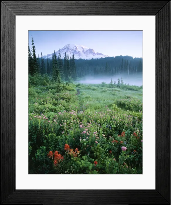 Framed Print : DDE-90039666 Framed Print : DDE-90039666