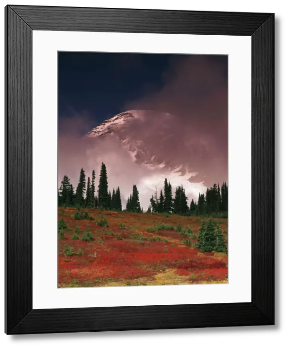 Framed Print : DDE-90039668 Framed Print : DDE-90039668