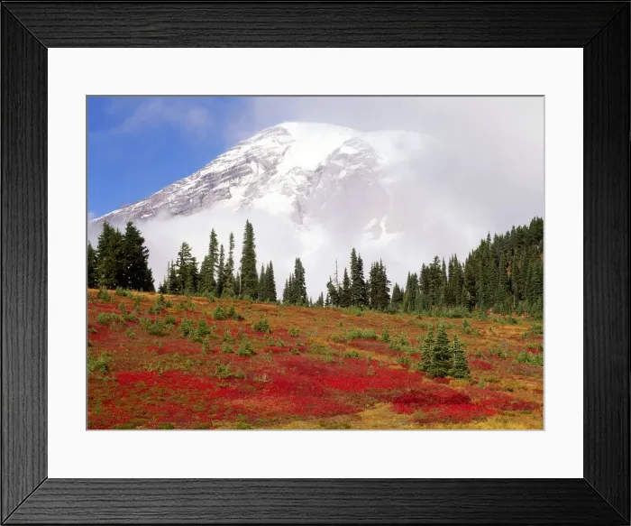 Framed Print : DDE-90039669
