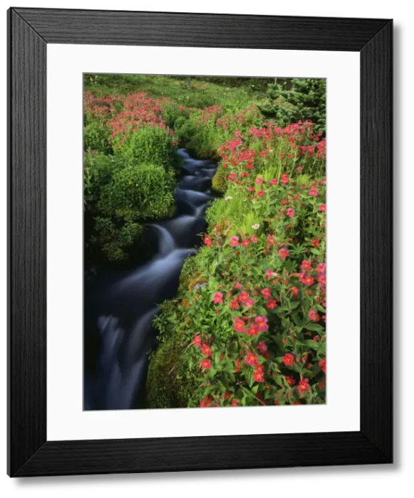 Framed Print : DDE-90039670 Framed Print : DDE-90039670