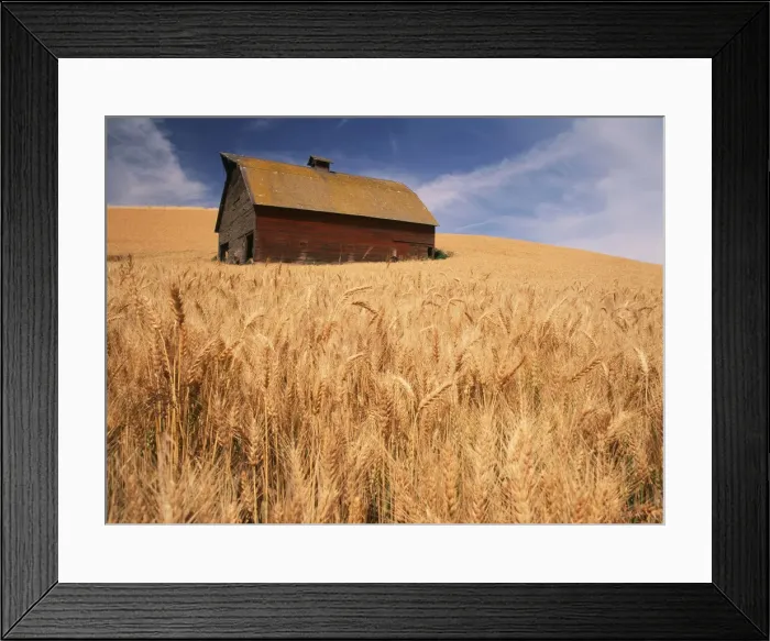 Framed Print : DDE-90039672 Framed Print : DDE-90039672