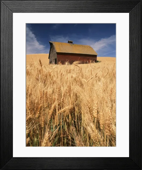 Framed Print : DDE-90039673 Framed Print : DDE-90039673