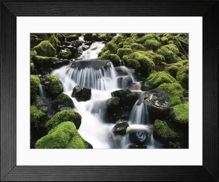 Framed Print : DDE-90039676
