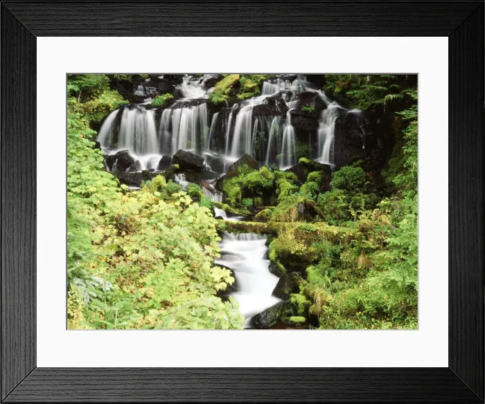 Framed Print : DDE-90039678 Framed Print : DDE-90039678