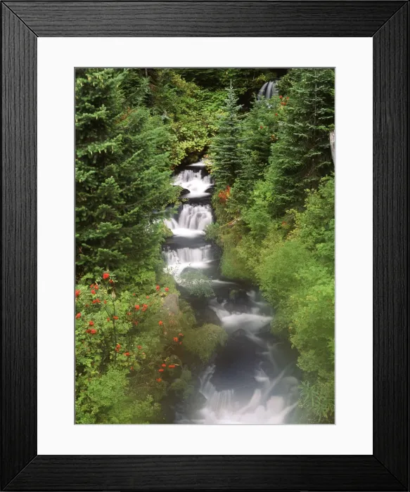 Framed Print : DDE-90039679 Framed Print : DDE-90039679