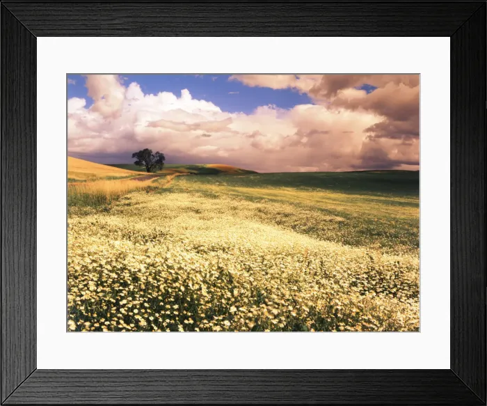 Framed Print : DDE-90039681 Framed Print : DDE-90039681