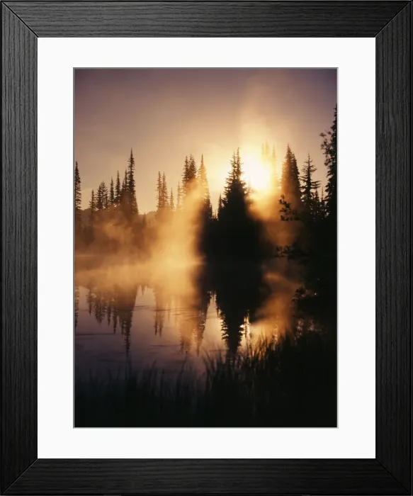Framed Print : DDE-90039685