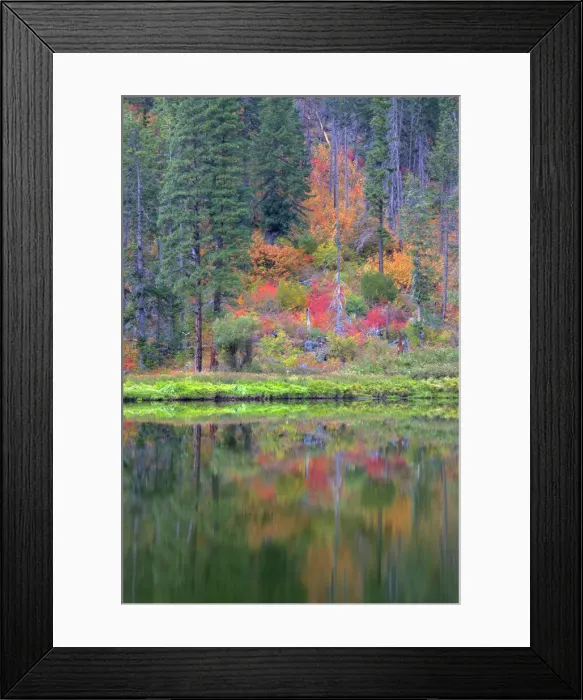 Framed Print : DDE-90039689 Framed Print : DDE-90039689