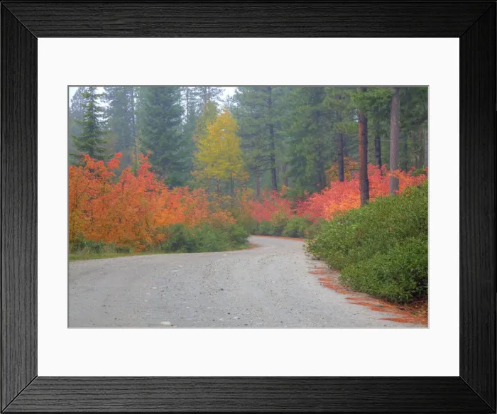Framed Print : DDE-90039690 Framed Print : DDE-90039690