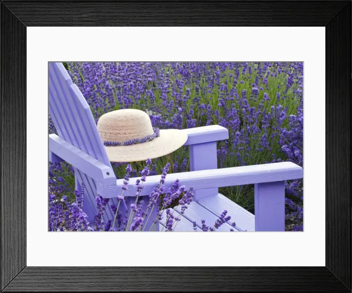 Framed Print : DDE-90039693 Framed Print : DDE-90039693