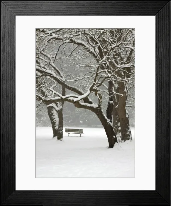 Framed Print : DDE-90039695 Framed Print : DDE-90039695