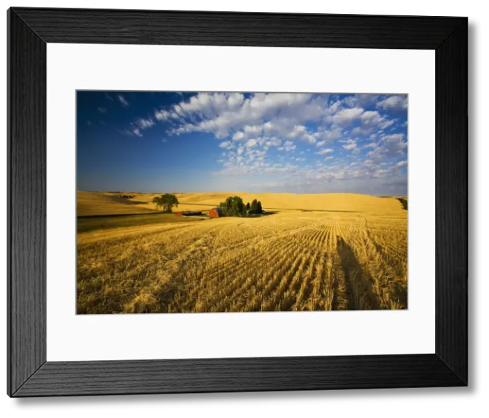 Framed Print : DDE-90039699 Framed Print : DDE-90039699