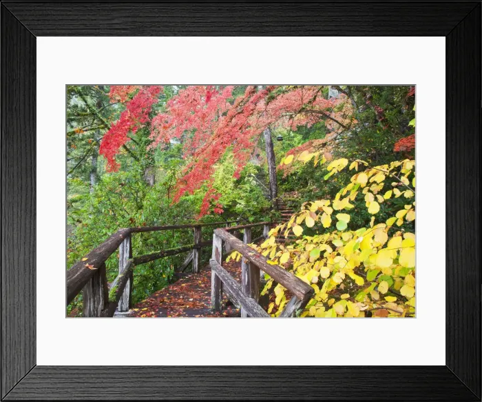 Framed Print : DDE-90039705 Framed Print : DDE-90039705