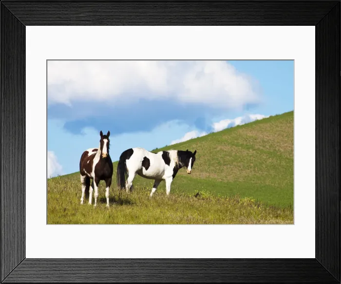 Framed Print : DDE-90039717 Framed Print : DDE-90039717