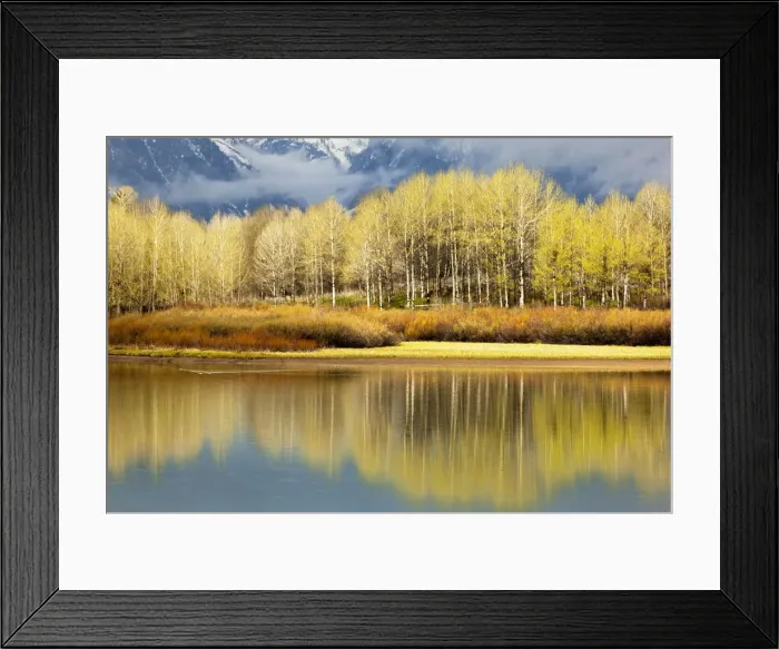Framed Print : DDE-90039736 Framed Print : DDE-90039736