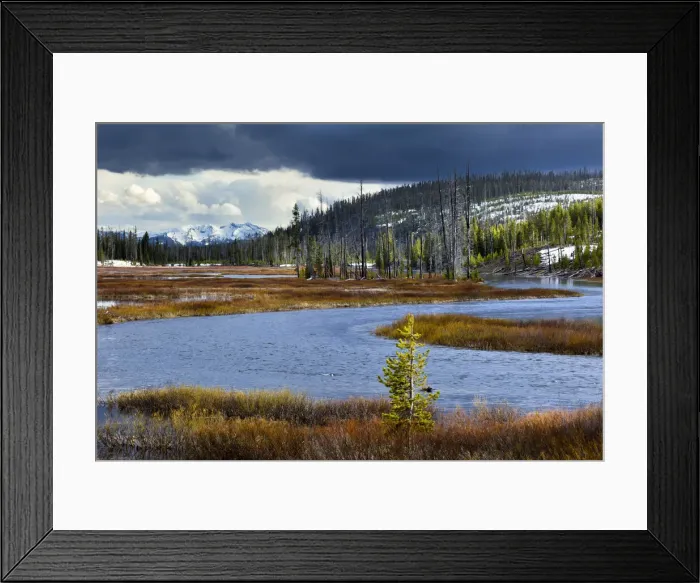 Framed Print : DDE-90039737