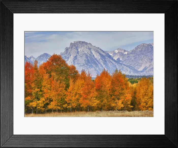 Framed Print : DDE-90039750 Framed Print : DDE-90039750