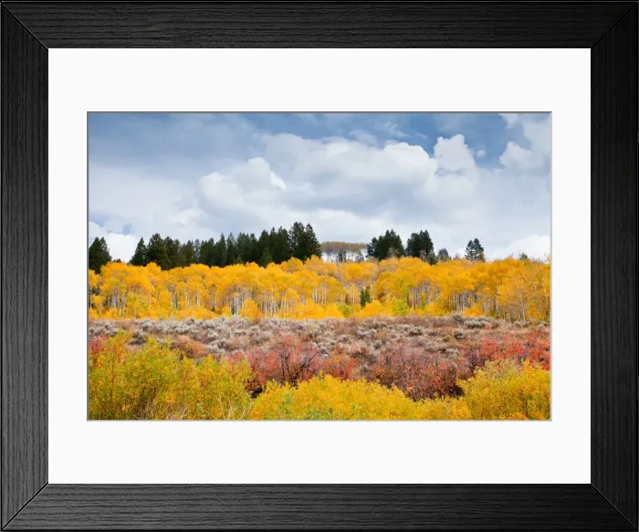 Framed Print : DDE-90039759 Framed Print : DDE-90039759