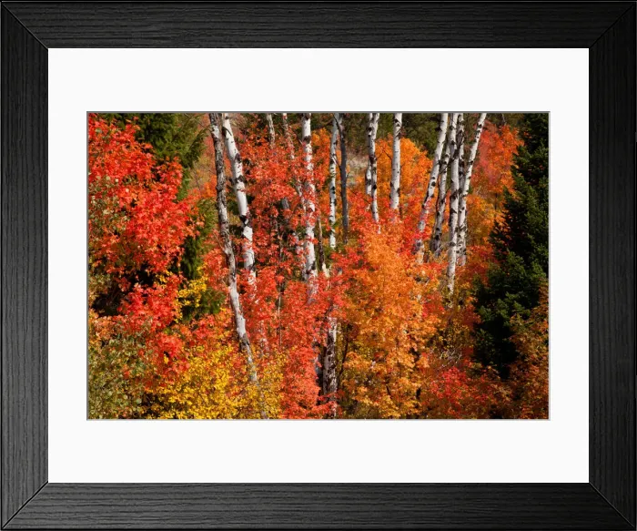 Framed Print : DDE-90039760 Framed Print : DDE-90039760