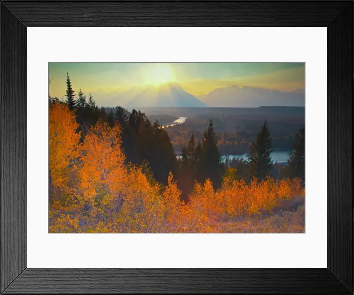 Framed Print : DDE-90039767