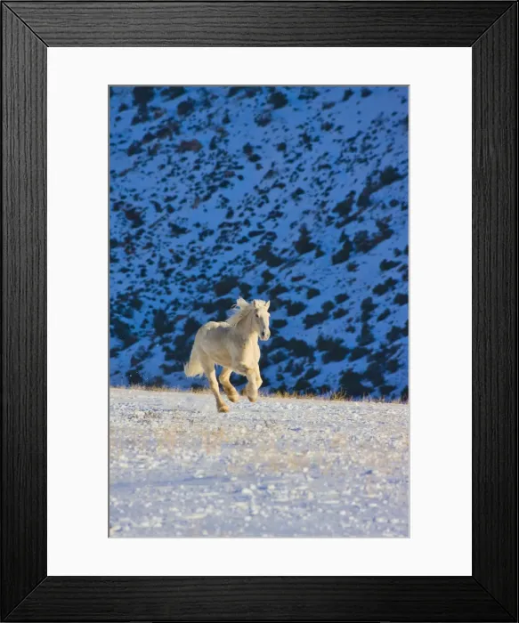Framed Print : DDE-90039773 Framed Print : DDE-90039773