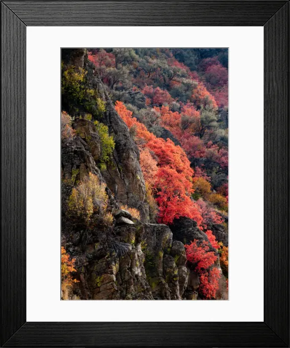 Framed Print : DDE-90039769 Framed Print : DDE-90039769