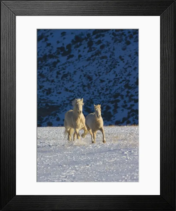Framed Print : DDE-90039775 Framed Print : DDE-90039775