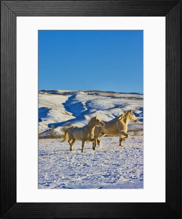 Framed Print : DDE-90039776 Framed Print : DDE-90039776
