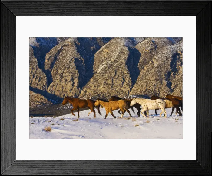 Framed Print : DDE-90039777 Framed Print : DDE-90039777