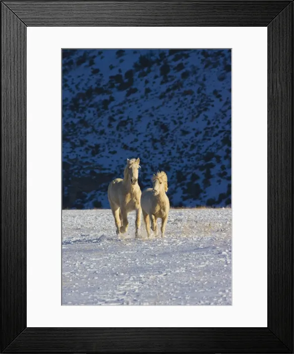 Framed Print : DDE-90039774