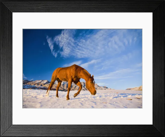 Framed Print : DDE-90039779