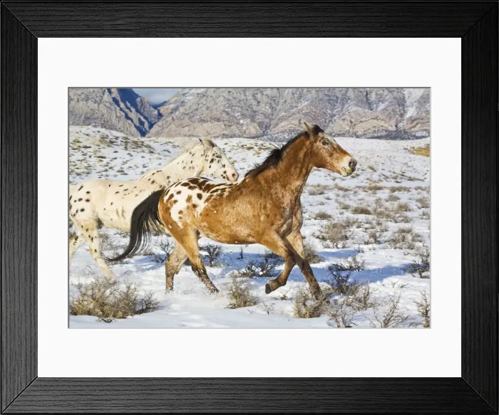 Framed Print : DDE-90039778 Framed Print : DDE-90039778