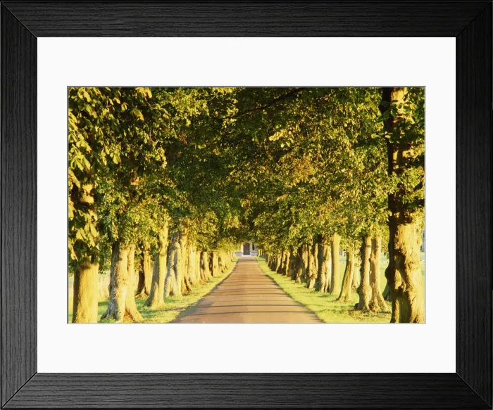Framed Print : DDE-90182195 Framed Print : DDE-90182195