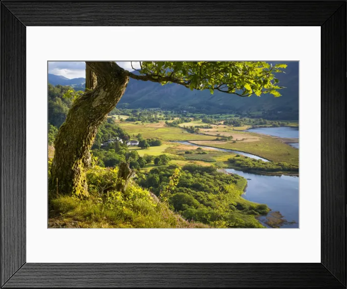 Framed Print : DDE-90182204 Framed Print : DDE-90182204