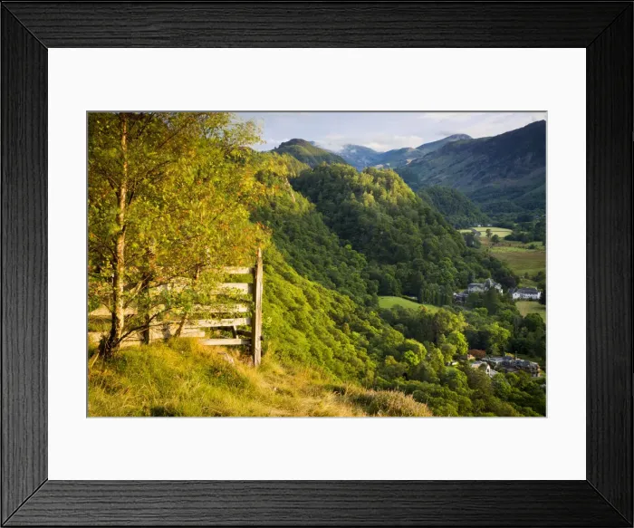 Framed Print : DDE-90182205 Framed Print : DDE-90182205