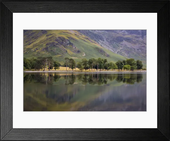 Framed Print : DDE-90182208