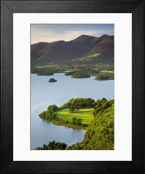 Framed Print : DDE-90182233