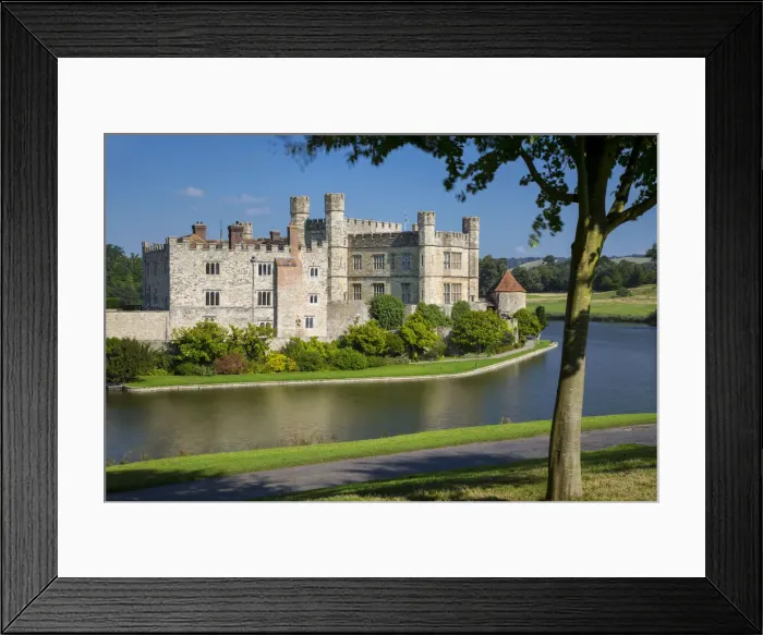 Framed Print : DDE-90182241 Framed Print : DDE-90182241