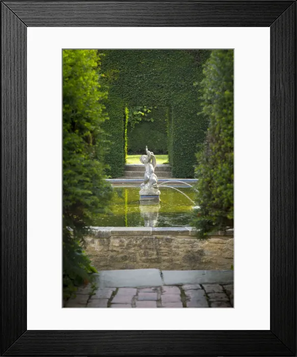 Framed Print : DDE-90182251